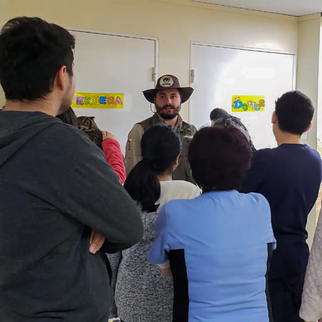 Zooterapia: registro fotográfico 1 de 6