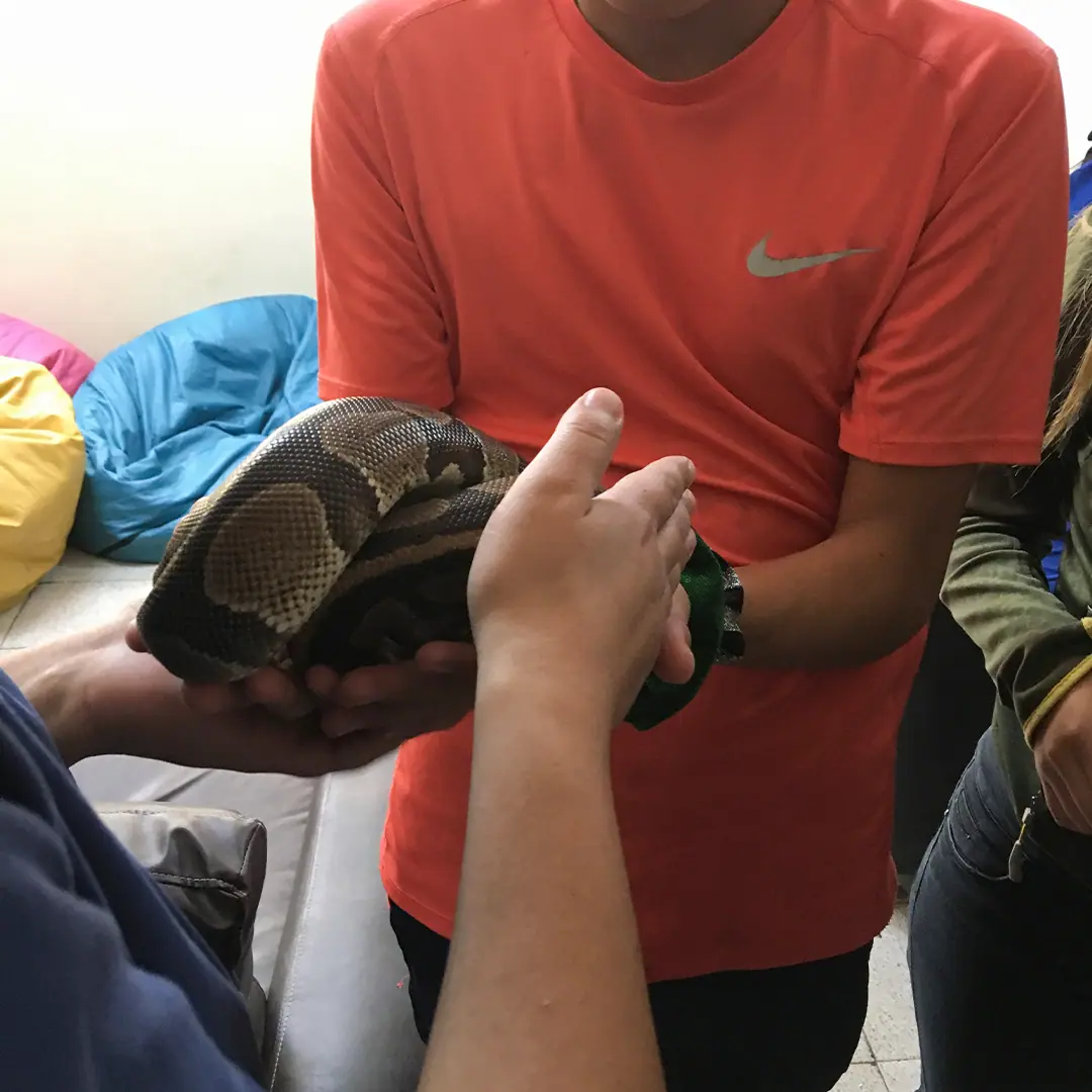 Zooterapia: registro fotográfico 3 de 6