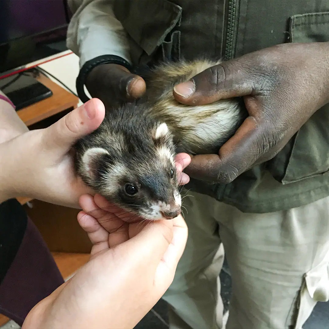 Zooterapia: registro fotográfico 4 de 6