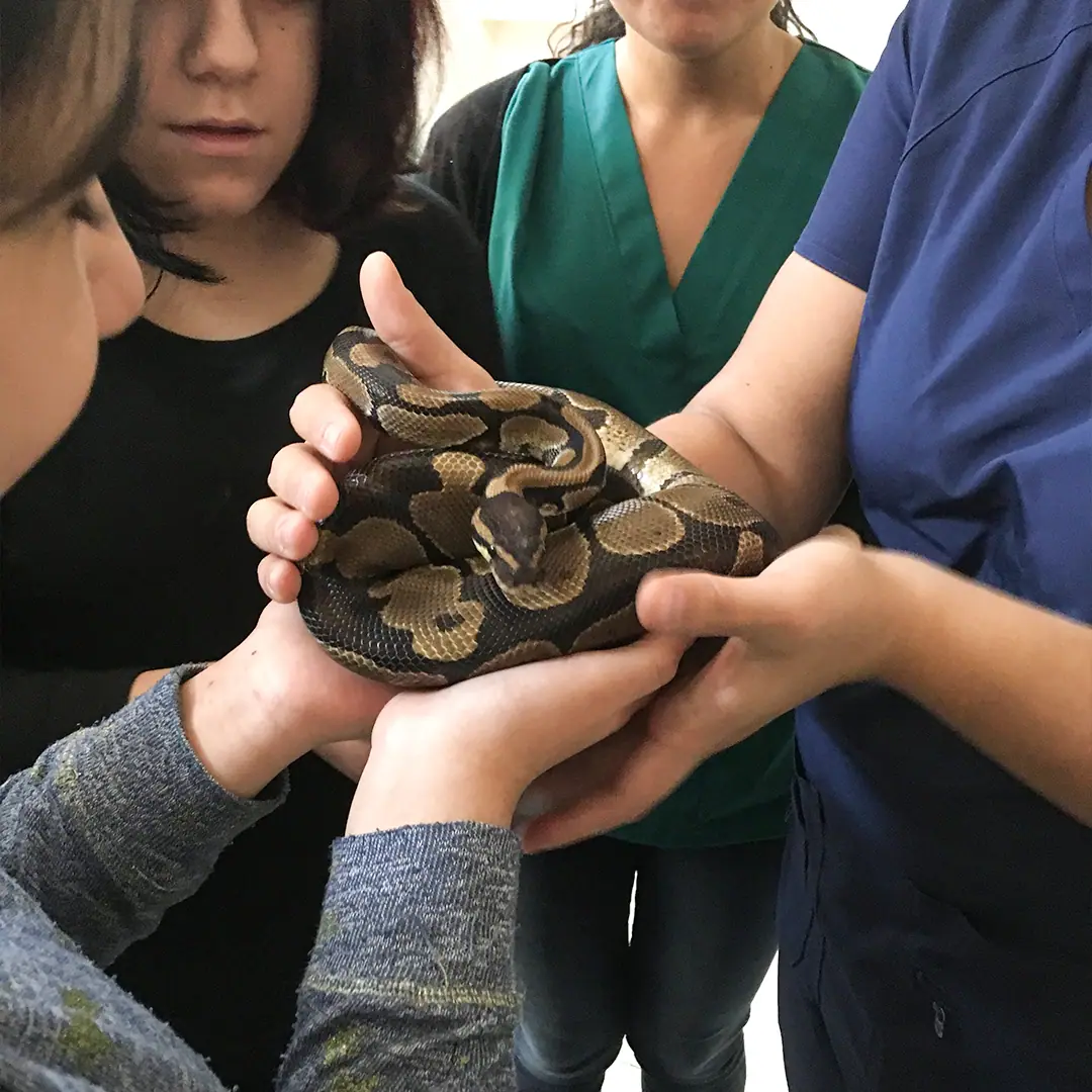 Zooterapia: registro fotográfico 6 de 6