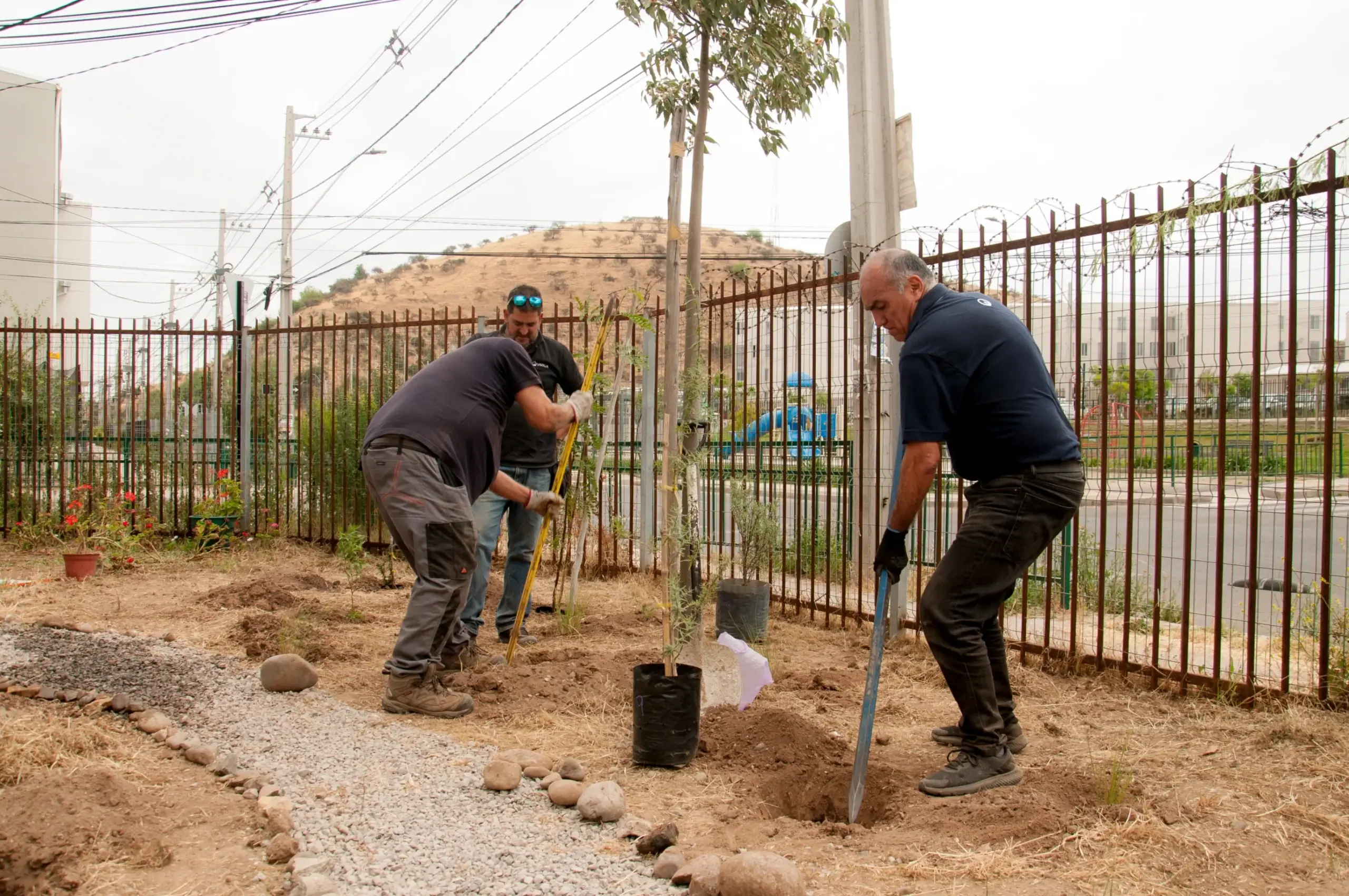 Fundación Bioparque Buinzoo participa en intervención urbana con impacto social y ecológico: registro fotográfico 3 de 4